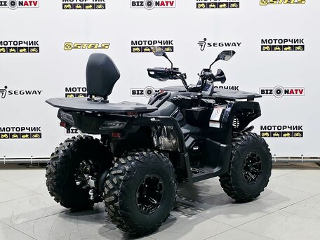 2025 Bison 250U, чёрный, 309900 рублей, вид 5