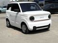 2024 Geely Panda Knight I, белый, 790000 рублей