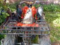 2009 Irbis ATV 150U, красный, 55000 рублей - вид 2