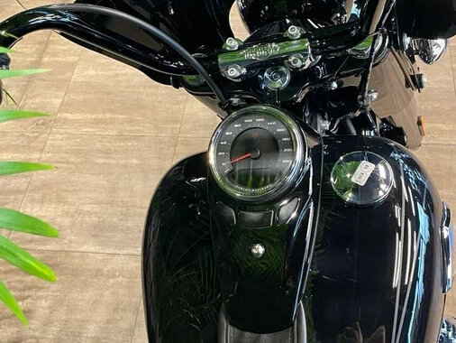 2025 Harley-Davidson Heritage, чёрный, 3850000 рублей - вид 15