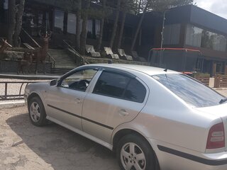 2003 Skoda Octavia I (A4) Рестайлинг, серебристый, 600000 рублей, вид 3
