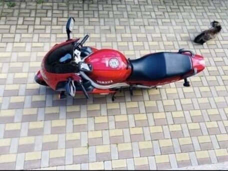 2003 Yamaha YZF600R Thundercat, красный, 375000 рублей, вид 5
