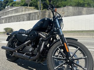 2017 Harley-Davidson Sportster 883, чёрный, 900000 рублей, вид 2