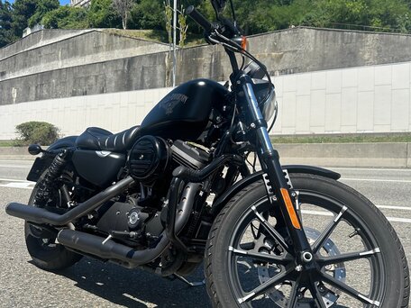 2017 Harley-Davidson Sportster 883, чёрный, 900000 рублей, вид 2