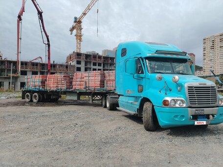 1998 Freightliner Century Class, голубой, 1350000 рублей, вид 5