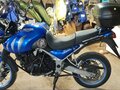 2006 Triumph Tiger 955i, синий, 425000 рублей - вид 10