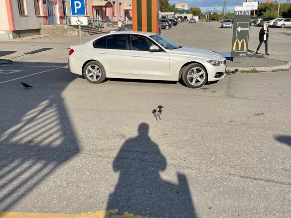2017 BMW 3 серии 320i xDrive VI (F3x) Рестайлинг, белый - вид 13