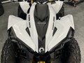 2023 BRP Can-Am Renegade 1000, серый, 2400000 рублей - вид 3