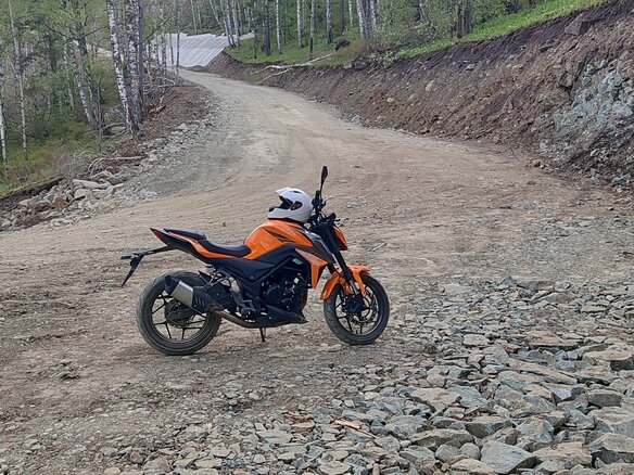 2023 Motoland XL250, оранжевый - вид 8