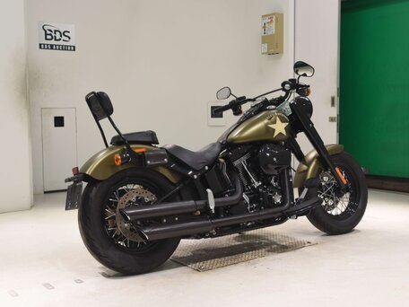 2017 Harley-Davidson Softail Slim, зелёный, 1220000 рублей, вид 5