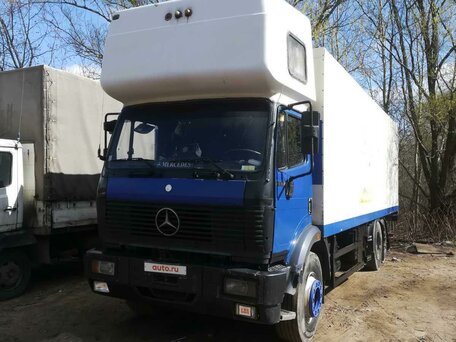 1991 Mercedes-Benz 2435, синий, 1100000 рублей, вид 2
