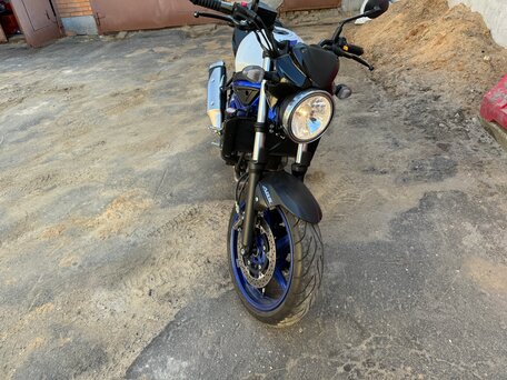 2019 Suzuki SV 650, белый, 700000 рублей, вид 2