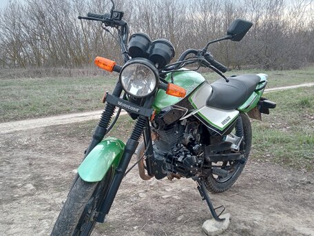 2019 Motoland XV250, зелёный, 80000 рублей, вид 2