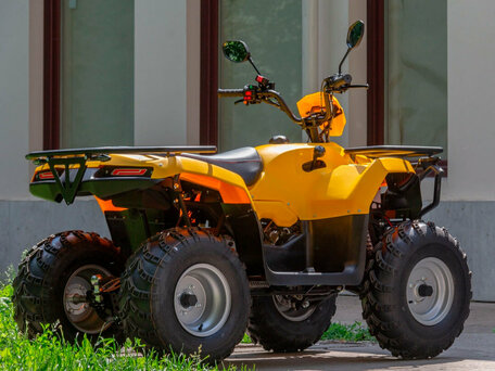 2024 Irbis ATV 200U, жёлтый, 261825 рублей, вид 4
