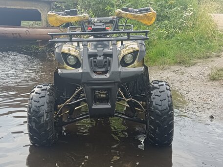 2017 Motoland ATV 125 Fox, золотистый, 100000 рублей, вид 2