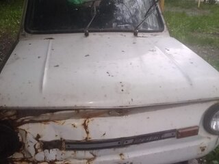 1993 ЗАЗ 968 М, белый, 100000 рублей, вид 1