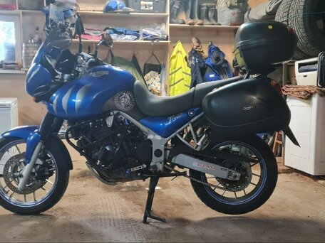 2006 Triumph Tiger 955i, синий, 425000 рублей, вид 3