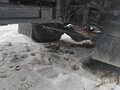 2014 ГАЗ ГАЗель Next, серый, 1100000 рублей - вид 7
