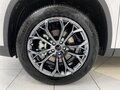 2020 Exeed TXL I, белый, 2500000 рублей - вид 10