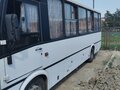 2019 ПАЗ 3204, белый, 3100000 рублей - вид 1