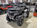2025 CFMoto CFORCE 600 Advanced EPS, серый, 1149900 рублей - вид 1