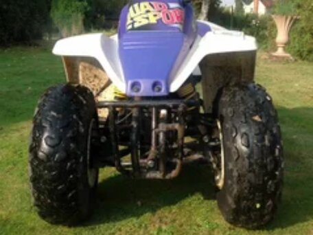 2006 Suzuki QuadSport LT80, белый, 225000 рублей, вид 2