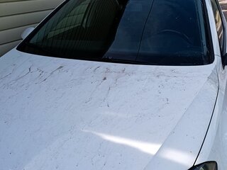 2014 Volkswagen Golf VII, белый, 850000 рублей, вид 2