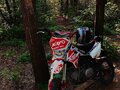 2019 Kayo Evolution YX150, белый, 90000 рублей