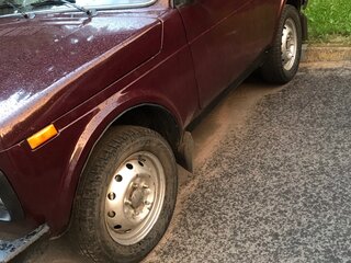 2011 Lada (ВАЗ) 2121 (4x4) I Рестайлинг, красный, 350000 рублей, вид 5
