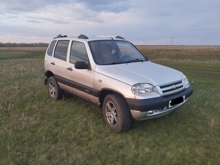 2004 Chevrolet Niva I, серебристый, 280000 рублей, вид 2