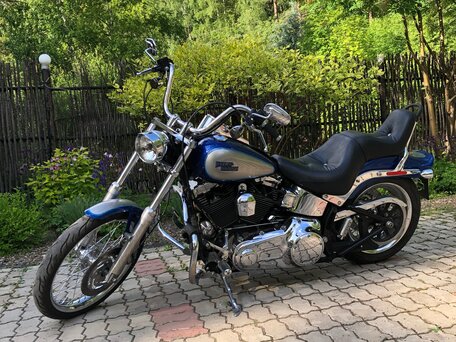 2008 Harley-Davidson Softail Custom, синий, 999999 рублей, вид 3
