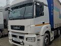 2018 КамАЗ 5490, белый, 3000000 рублей - вид 5
