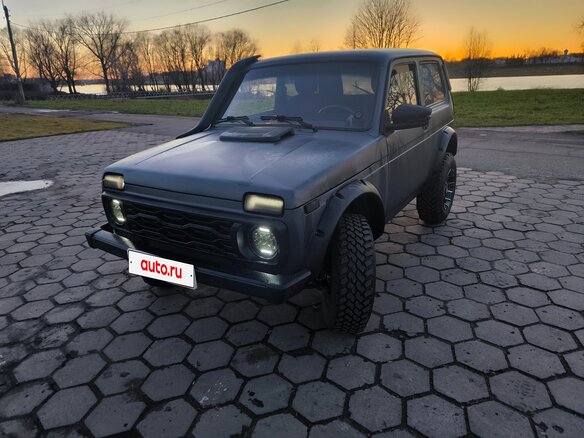 2008 Lada (ВАЗ) 2121 (4x4) I Рестайлинг, серый, 450000 рублей - вид 1
