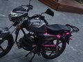 2026 VMC (Vento) Riva, коричневый, 65000 рублей