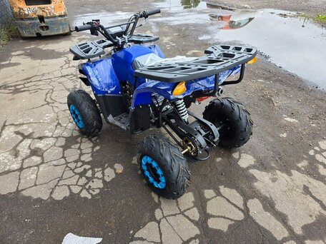 2025 Другие ATV (другие), синий, 110000 рублей, вид 4
