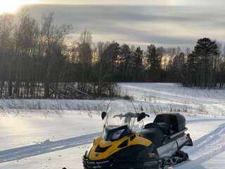 2014 BRP Ski-Doo Skandic 600, жёлтый, 1539000 рублей, вид 2