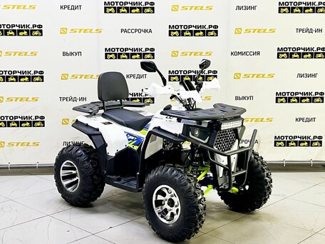 2025 Bison ATV200, белый, 219000 рублей, вид 3