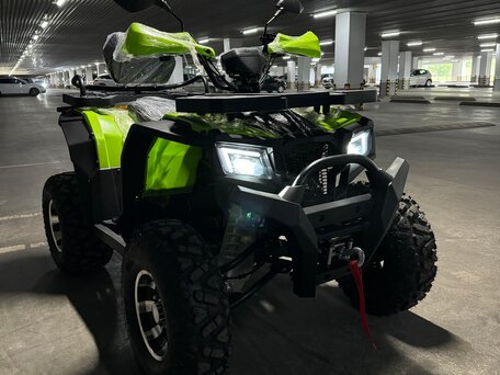 2025 Motoland Wild Track 200 X Pro, зелёный, 215000 рублей, вид 1