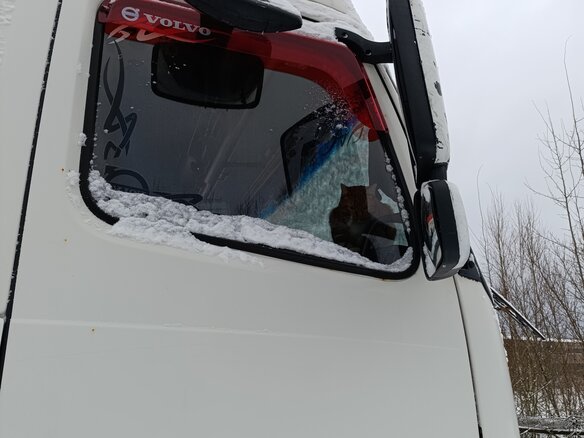 2006 Volvo FH, белый, 2250000 рублей - вид 6