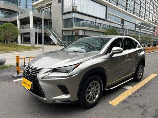 2020 Lexus NX 200 I Рестайлинг, серый, 3100000 рублей, вид 1