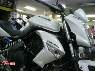 2011 Kawasaki ER-6N, белый, 470000 рублей, вид 2