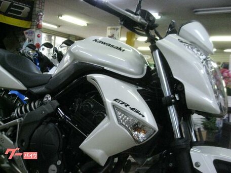2011 Kawasaki ER-6N, белый, 470000 рублей, вид 2