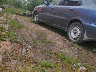 2010 ЗАЗ Chance, серый, 165000 рублей, вид 1