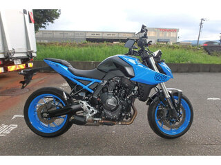 Suzuki GSX-8S