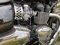 2015 Triumph America, чёрный, 600000 рублей - вид 10