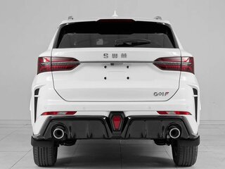 2024 SWM G01F, белый, 1849000 рублей, вид 5