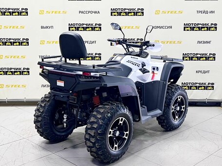 2025 Bashan Explorer 320, белый, 549000 рублей, вид 5
