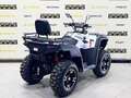 2025 Bashan Explorer 320, белый, 549000 рублей - вид 4