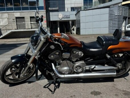 2014 Harley-Davidson V-Rod Muscle, золотистый, 1350000 рублей, вид 1