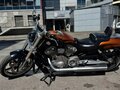 2014 Harley-Davidson V-Rod Muscle, золотистый, 1350000 рублей